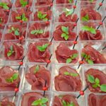 Catering Gdynia